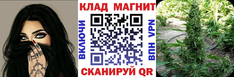 Галлюциногенные грибы Обнинск