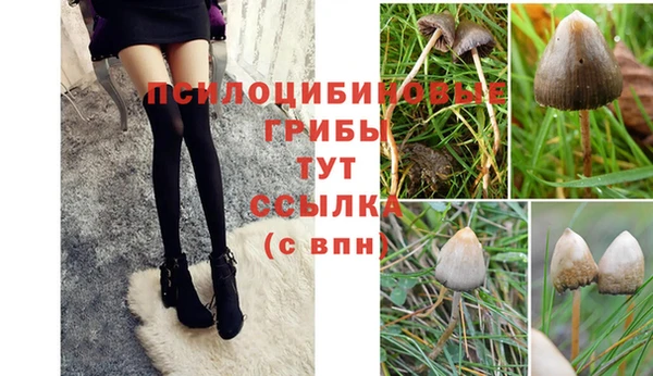 амф Елабуга