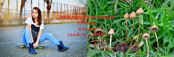не бодяженный Елизово