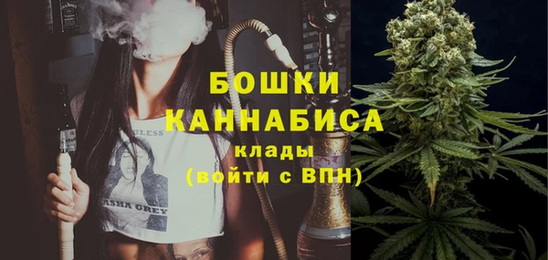 амф Елабуга